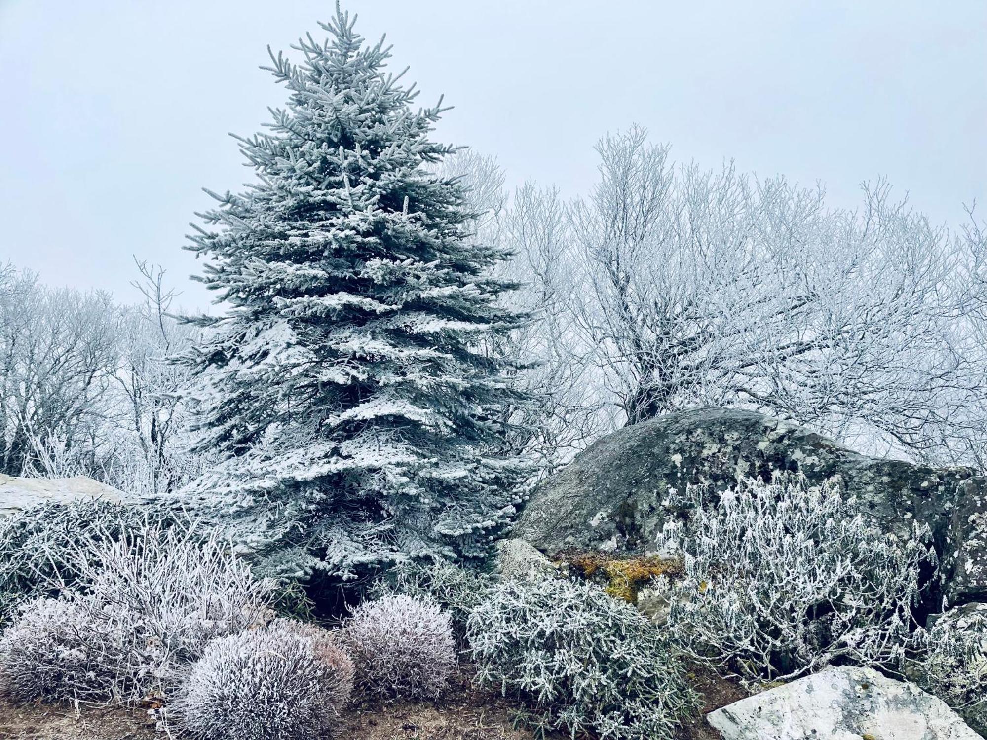 Bucket List Views Sugar Mountain Private Condo - 2Bed, 2Bath, Sleeps 6, Panoramic Views Of Mountains From Large Deck, Short Drive To Shopping, Restaurants, Cafes & Banner Elk Town المظهر الخارجي الصورة